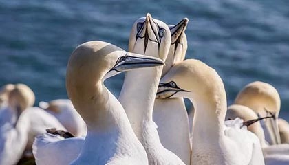 yl7703永利-九游APP下载：带你玩转游戏世界的全方位入口