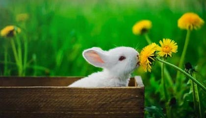 yl7703永利-九游APP下载:带你玩转游戏世界的全方位入口